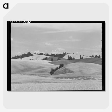 1-14_Russell-Lee_picture-crop