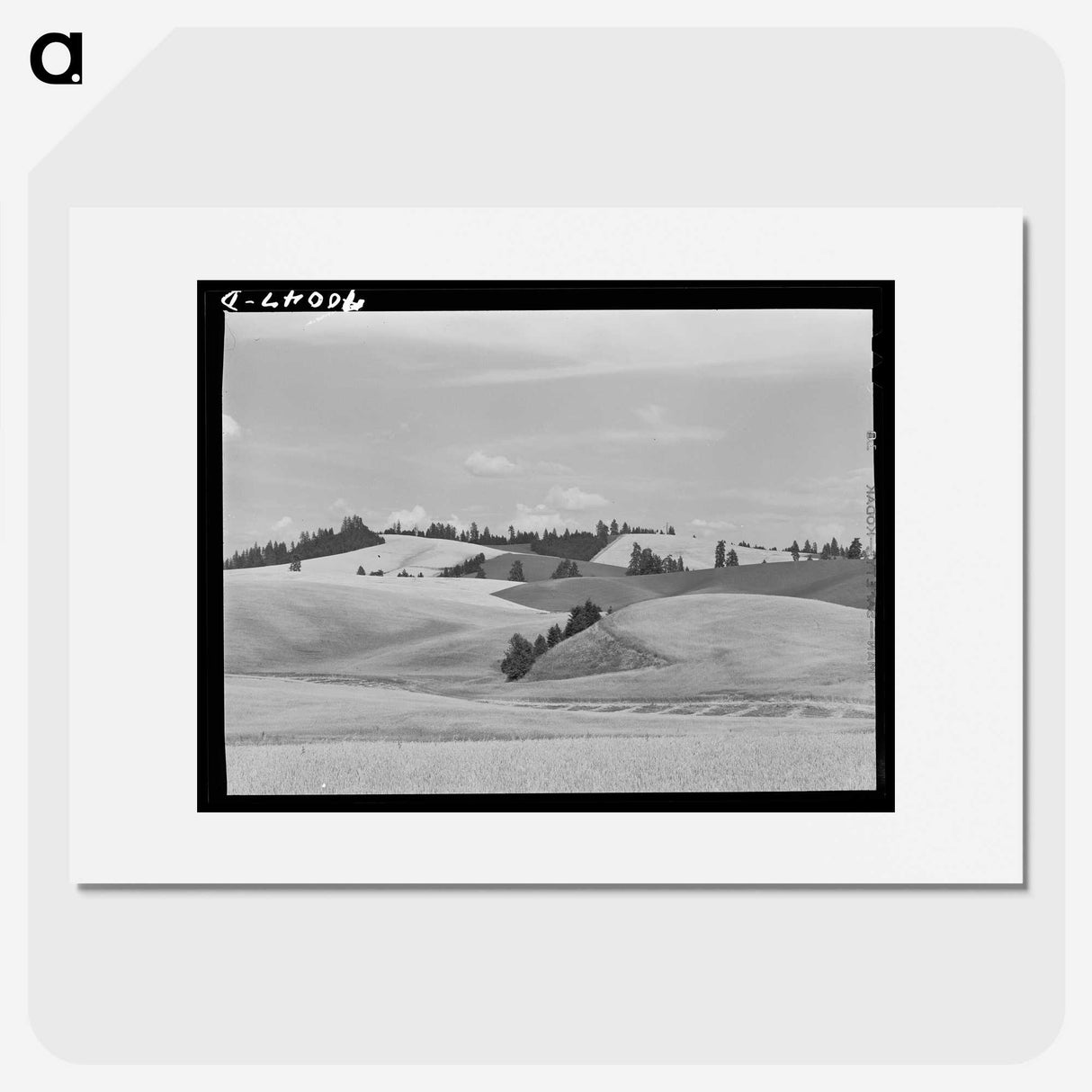 1-14_Russell-Lee_picture