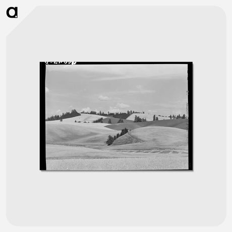 アートポストカード-Wheat Fields and Summer Fallow
 - ラッセル リー Postcard.