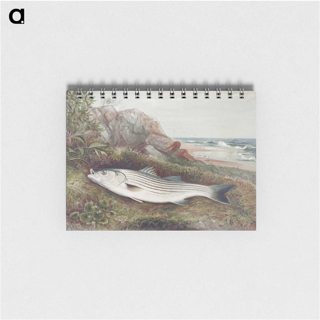 1-14_Samuel-Kilbourne_memo