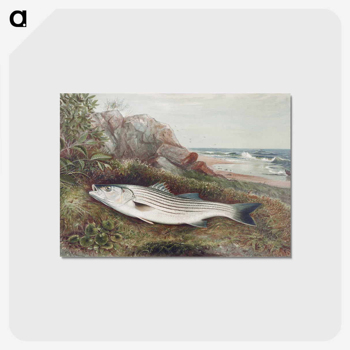 1-14_Samuel-Kilbourne_postcard