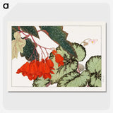 1-14_Seiyo-Soka-Zufu_picture-crop