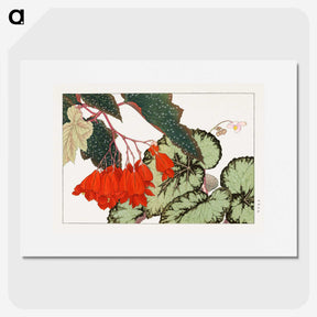 1-14_Seiyo-Soka-Zufu_picture