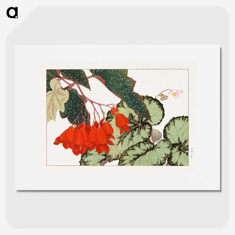 1-14_Seiyo-Soka-Zufu_picture