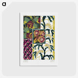 1-14_Suggestions-Pour-Etoffes-et-Tapis_postcard