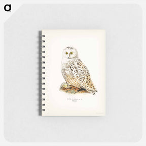 アートメモ帳-Snowy Owl
 - スヴェンスカ フォグラル Memo.