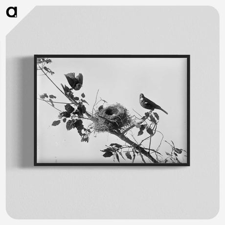 1-14_The-Burton-Brothers_blk-crop