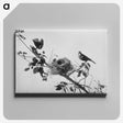 1-14_The-Burton-Brothers_canvas