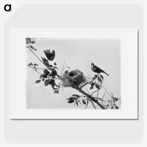 1-14_The-Burton-Brothers_picture