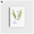 1-14_The-Genus-Iris_memo