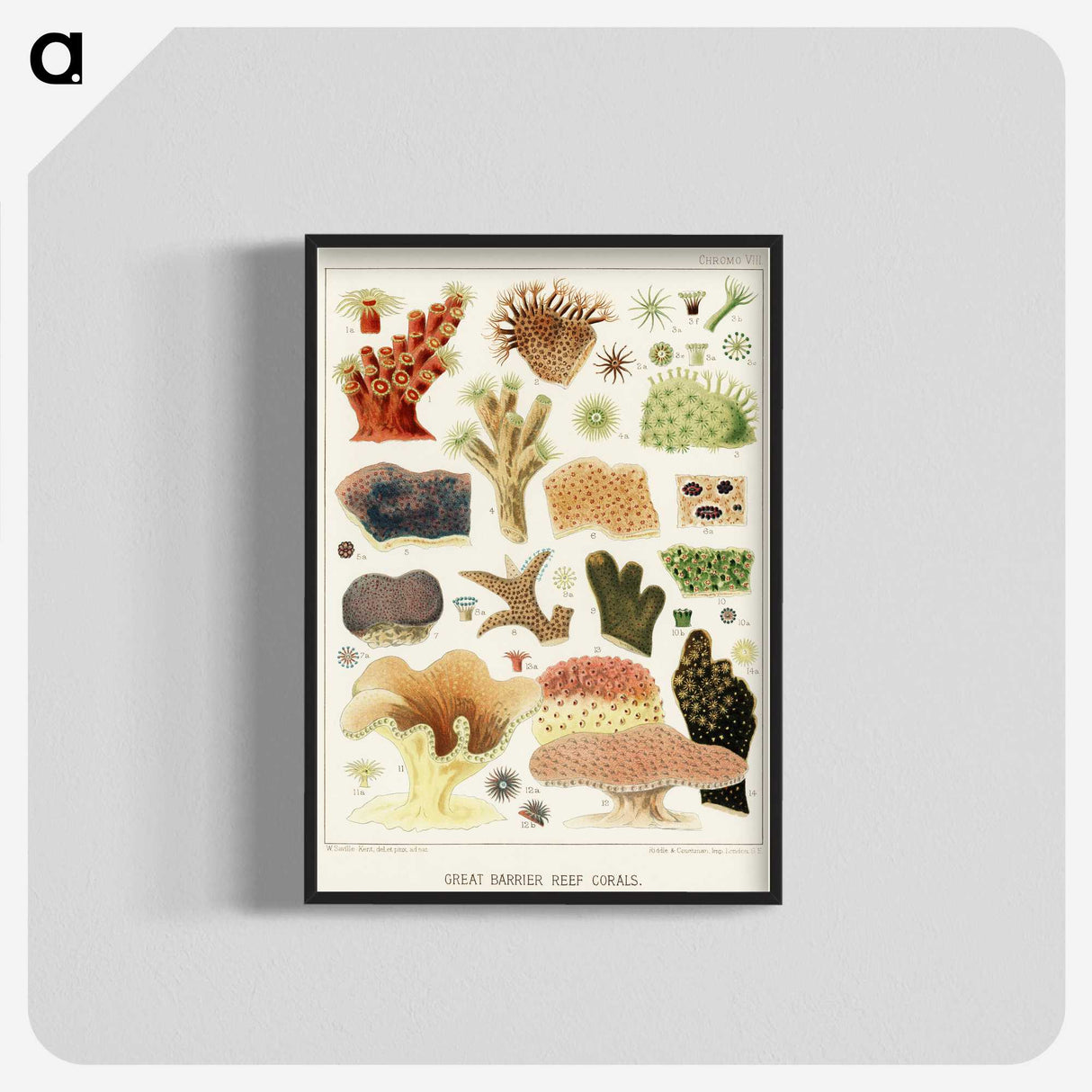 1-14_The-Great-Barrier-Reef-of-Australia_blk-crop