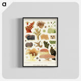 1-14_The-Great-Barrier-Reef-of-Australia_blk-crop