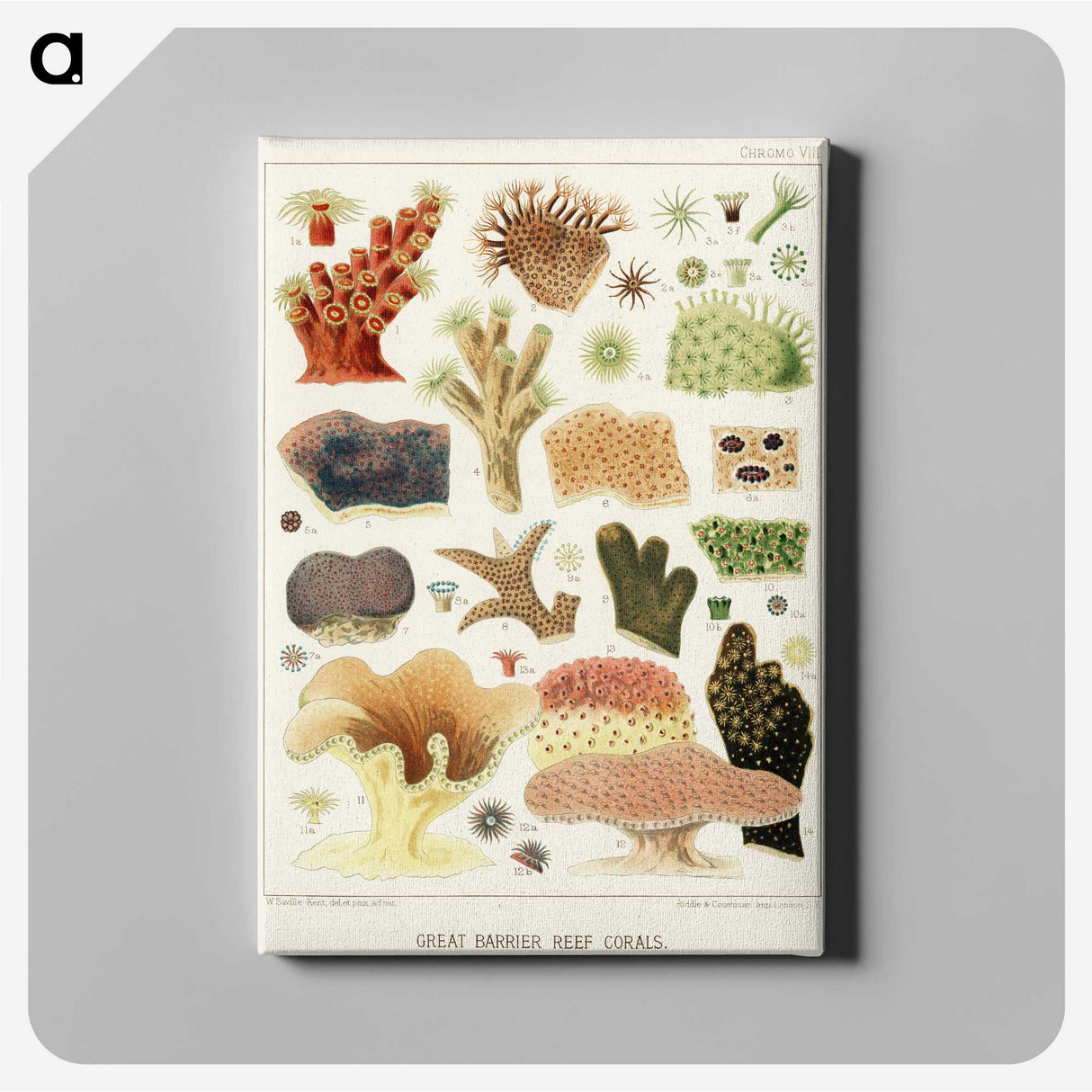 1-14_The-Great-Barrier-Reef-of-Australia_canvas