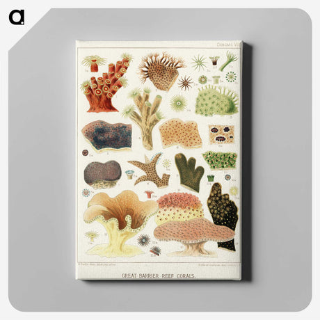 1-14_The-Great-Barrier-Reef-of-Australia_canvas
