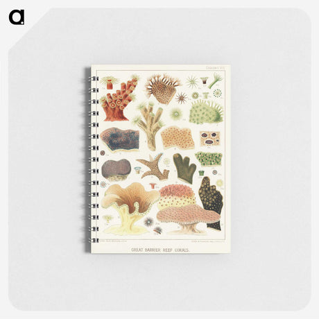 1-14_The-Great-Barrier-Reef-of-Australia_memo