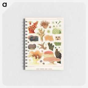 アートメモ帳-Great Barrier Reef Corals - オーストラリアのグレートバリアリーフ Memo.