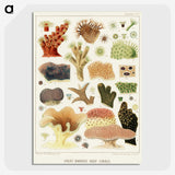 1-14_The-Great-Barrier-Reef-of-Australia_picture-crop