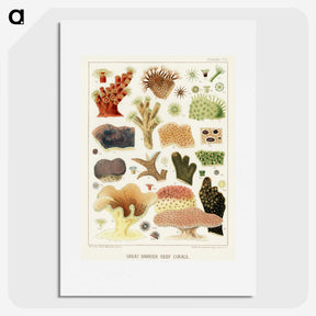 1-14_The-Great-Barrier-Reef-of-Australia_picture