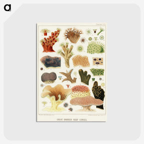 1-14_The-Great-Barrier-Reef-of-Australia_postcard