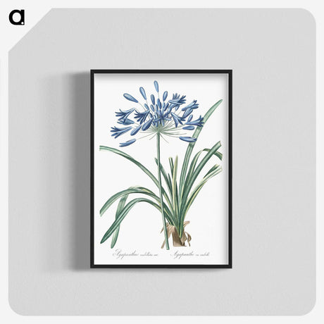 1-14_The-Lilies_blk-crop