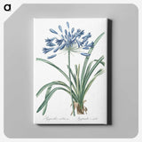 1-14_The-Lilies_canvas