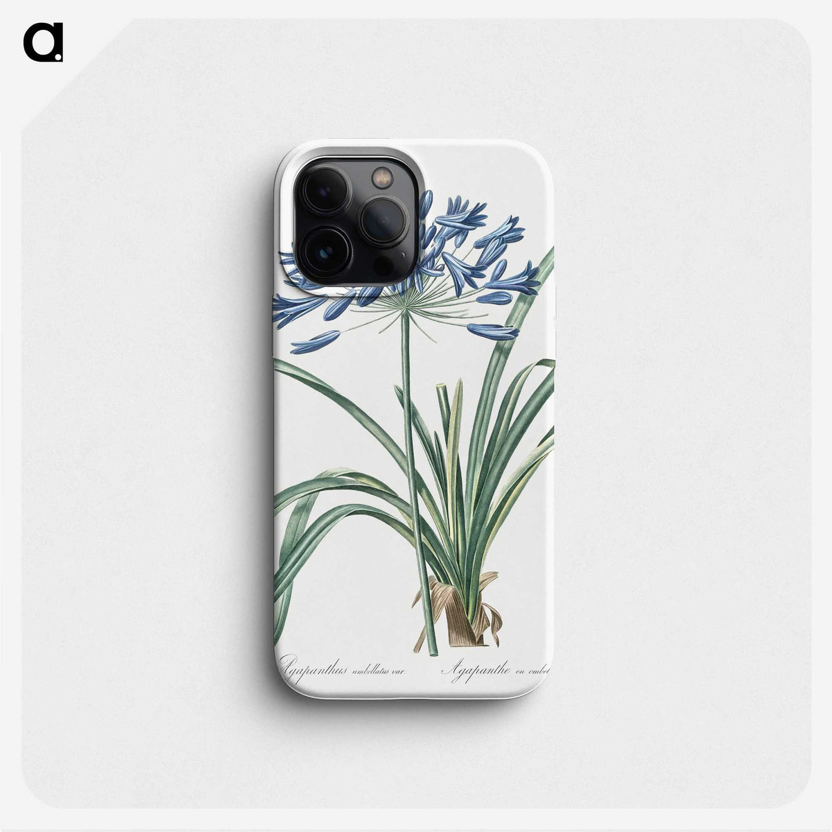 1-14_The-Lilies_phone