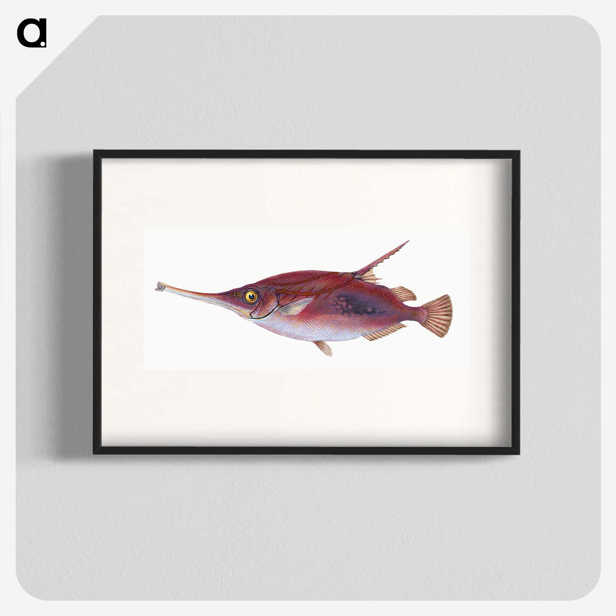 1-14_The-Natural-History-of-British-Fishes_blk
