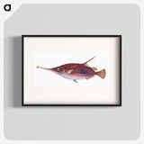 1-14_The-Natural-History-of-British-Fishes_blk