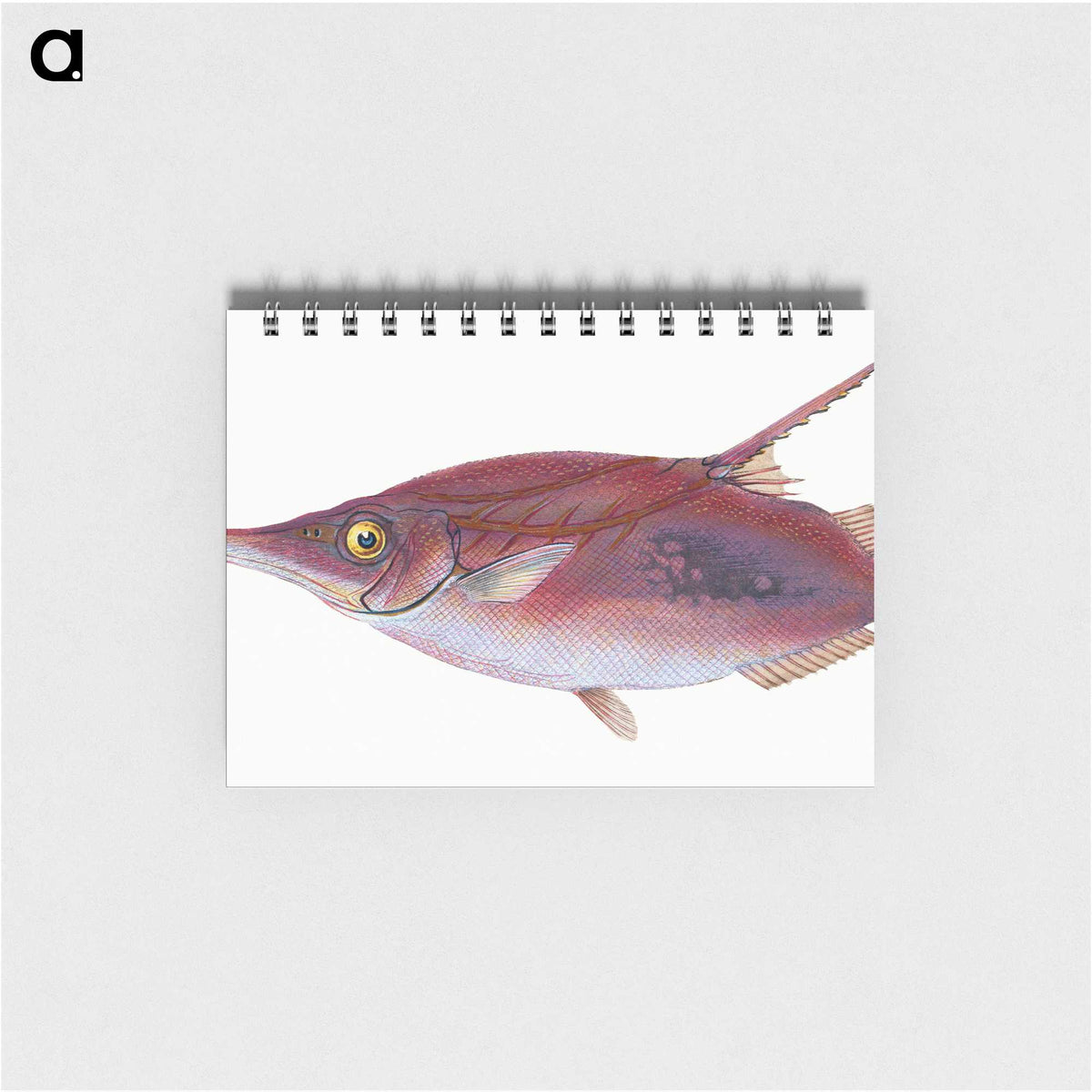 1-14_The-Natural-History-of-British-Fishes_memo