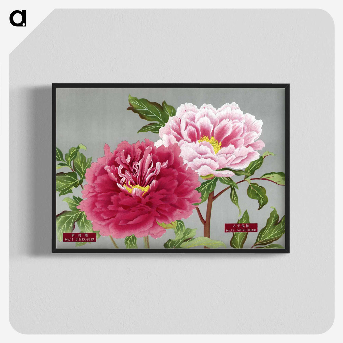 1-14_The-Picture-Book-of-Peonies_blk-crop