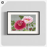 1-14_The-Picture-Book-of-Peonies_blk
