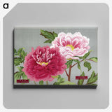 1-14_The-Picture-Book-of-Peonies_canvas