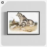 1-14_The-Viviparous-Quadrupeds_blk-crop