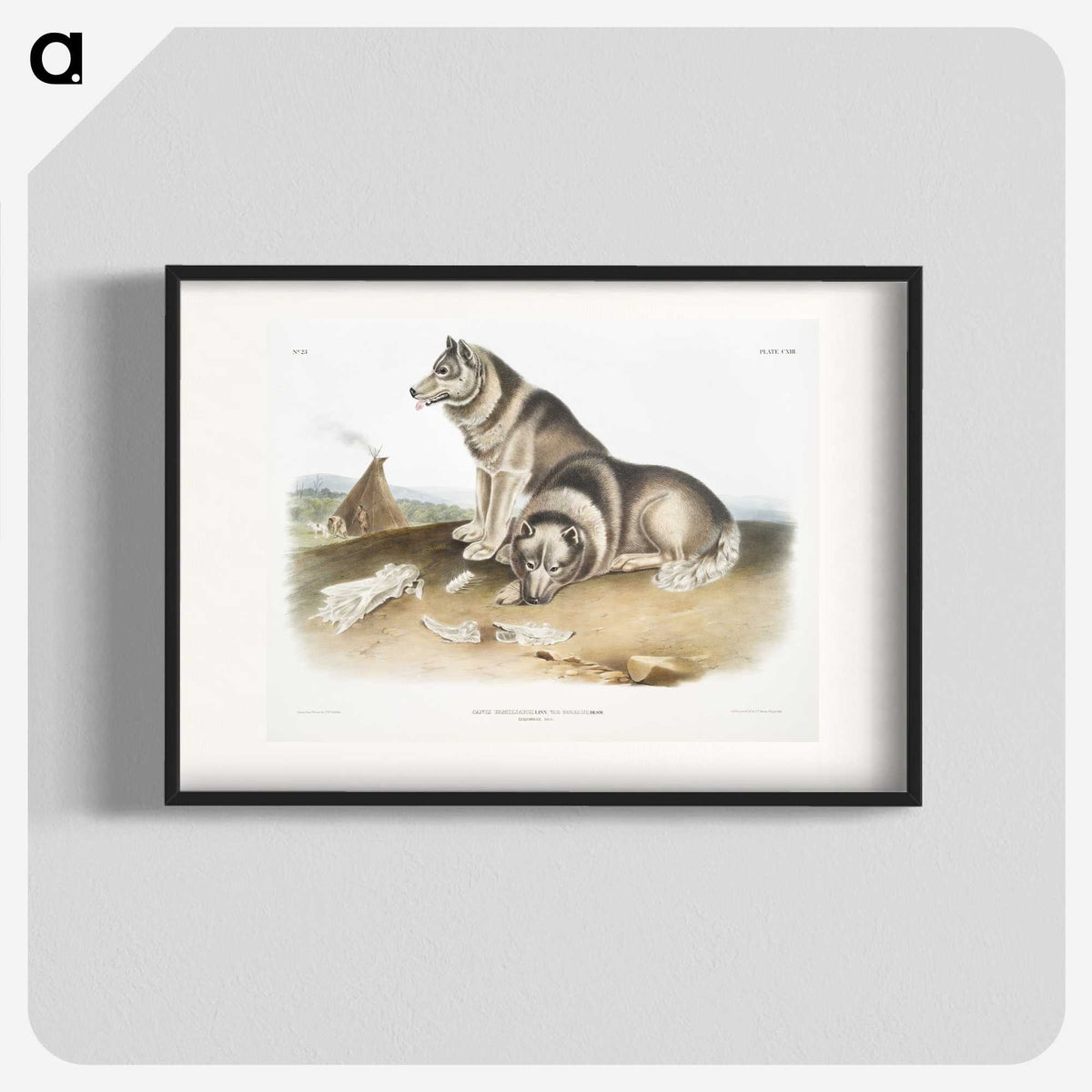 1-14_The-Viviparous-Quadrupeds_blk