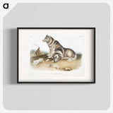 1-14_The-Viviparous-Quadrupeds_blk