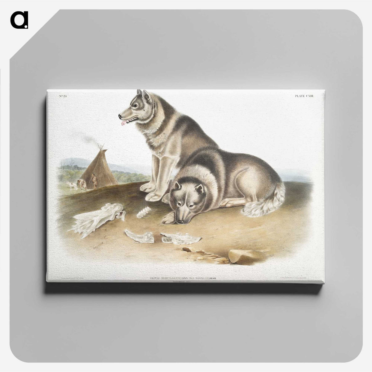 1-14_The-Viviparous-Quadrupeds_canvas