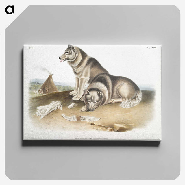 1-14_The-Viviparous-Quadrupeds_canvas