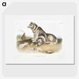 1-14_The-Viviparous-Quadrupeds_picture