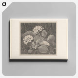 Primula in het mos - Theo van Hoytema Canvas.