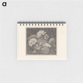 アートメモ帳-Primula in het mos - テオ ヴァン ホイテマ Memo.