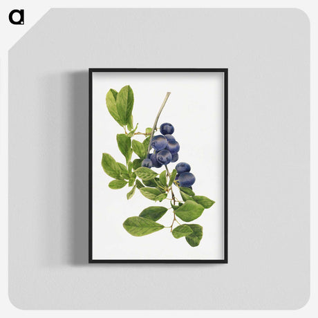 1-14_USDA-Watercolor-Fruit-Painting-Collection_blk-crop