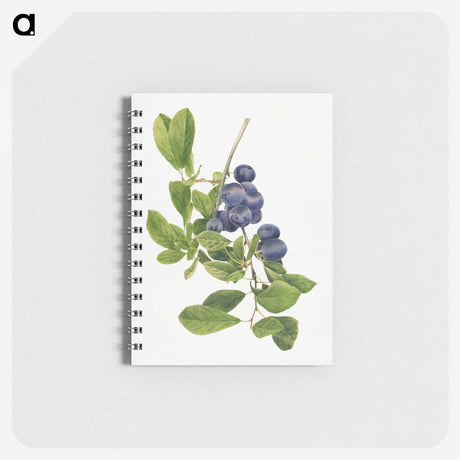 1-14_USDA-Watercolor-Fruit-Painting-Collection_memo