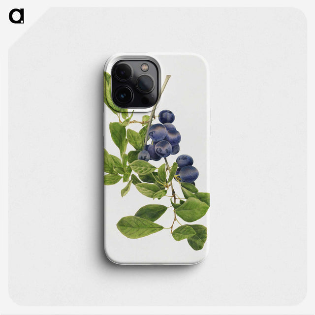 1-14_USDA-Watercolor-Fruit-Painting-Collection_phone