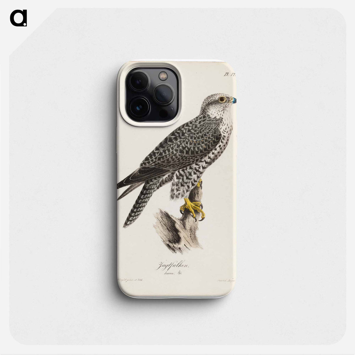 Gyrfalcon, female, illustration for tidskrift för jägare och naturforskare - ヴィルヘルム フォン ライト Phone Case.