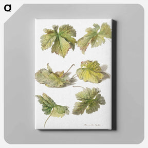 アートパネル-Studies van wingerdbladen - ウィレム ヴァン リーン Canvas.