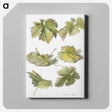 1-14_Willem-van-Leen_canvas