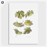 1-14_Willem-van-Leen_picture