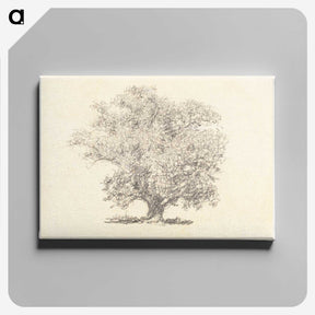 1-14_William-Henry-Hunt_canvas