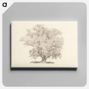 アートパネル-A Tree in Full-Leaf - ウィリアム ヘンリー ハント Canvas.