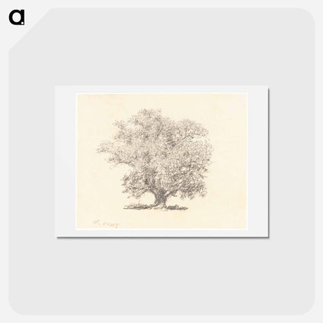アートポストカード-A Tree in Full-Leaf - ウィリアム ヘンリー ハント Postcard.